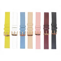 watch strap quick release