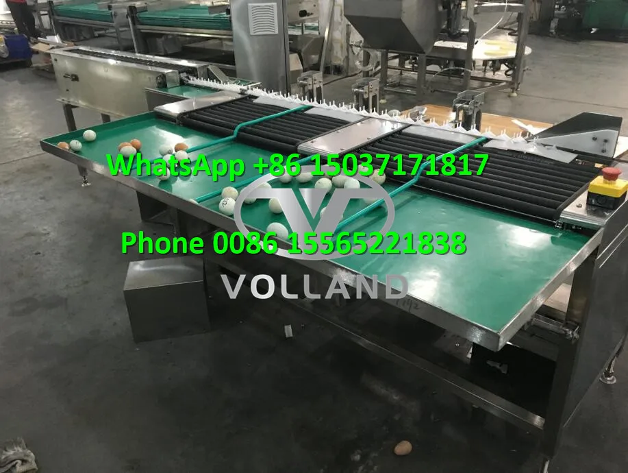 electronic egg grader4.jpg