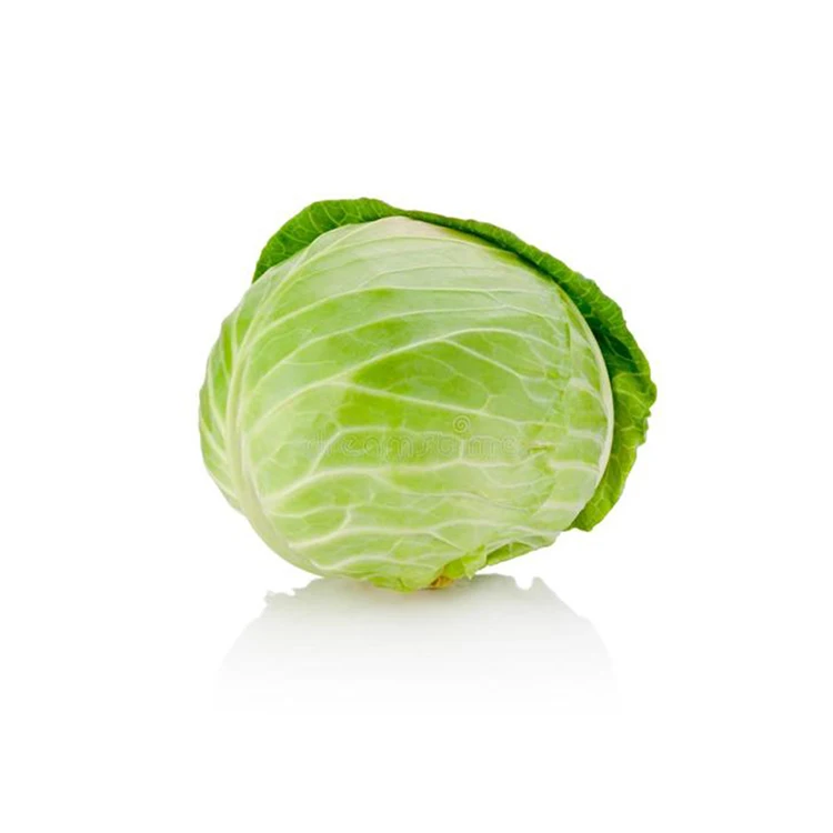
Hot Selling Fresh Chinese High Water Content green cabbage 