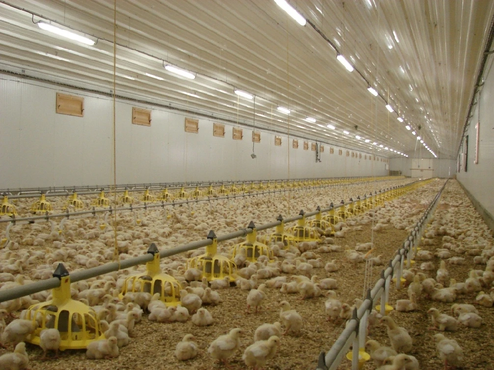 Modern Design Commercial Galvanized Steel Structure Prefabricated