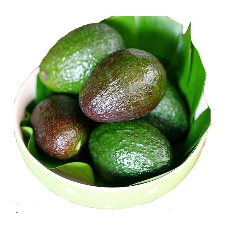 
Perfect Fresh Mexican Hass Avocado Fruit 