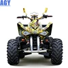 AGY modern tech quad bike auto