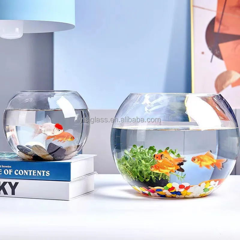 Desktop Cheap Round Glass Globe Fish Bowl Aquarium Vase Buy Glass