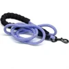 New Design Nylon Pet Traction Rope Dog leash With Soft EVA Handles