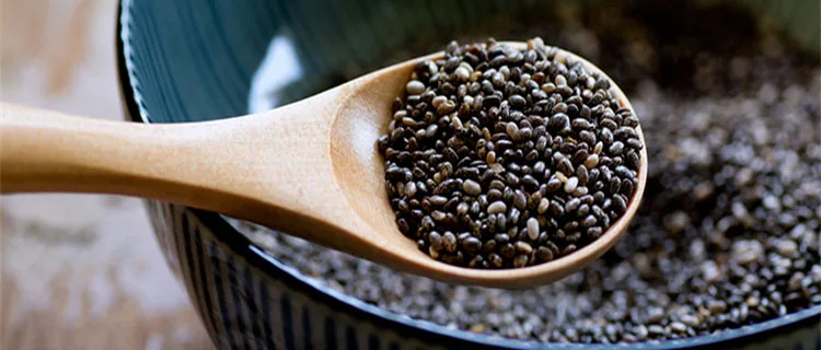 bulk sale chia seed with high quality