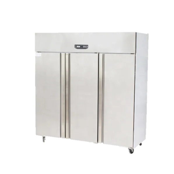 Restaurant Supermarket Commercial Vertical Double Temperature