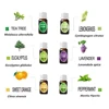 OEM/ODM Private label carrier natural gift set essential oil