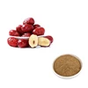 HONGDA Fantory Supply High QualityJujube Fruit Powder Jujube Extract Chinese Date Extract