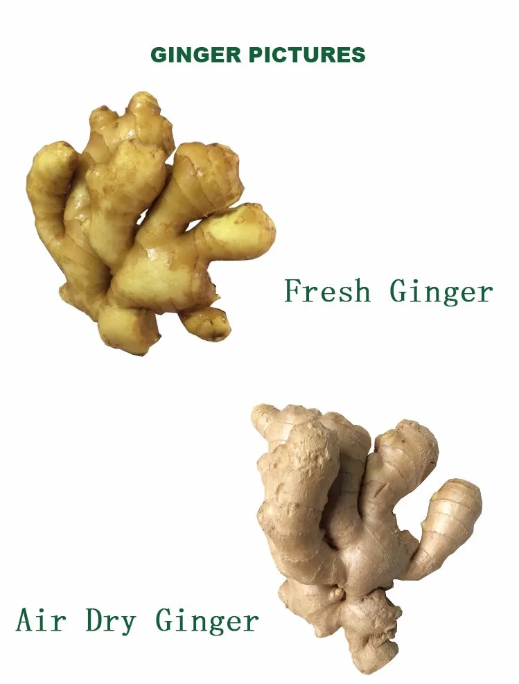 Fresh Ginger Chinese Mature Ginger With All Kinds Of Package And Low Price Buy Price Of Fresh Ginger Ginger Fresh Ginger Product On Alibaba Com