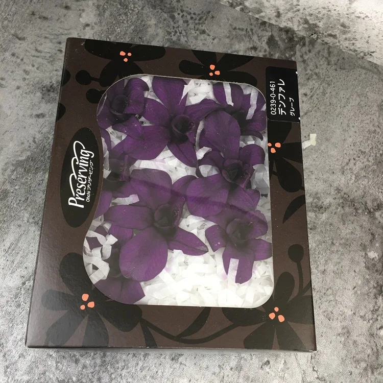 Preserved Orchid Flowers From Japan Buy Preserved Orchid Flowers,Best