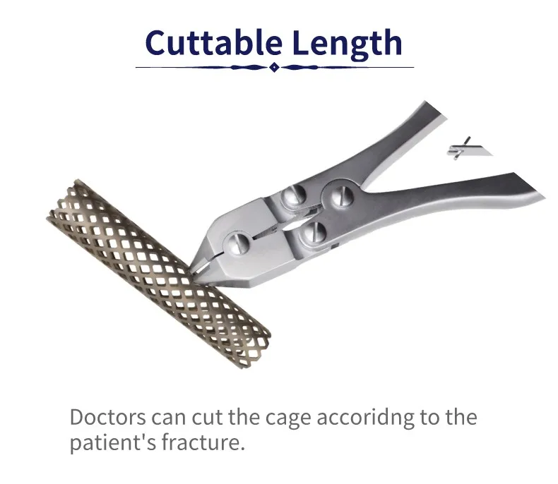 Orthopedic Implant Spine System Titanium Mesh Cage For Spinal Surgery