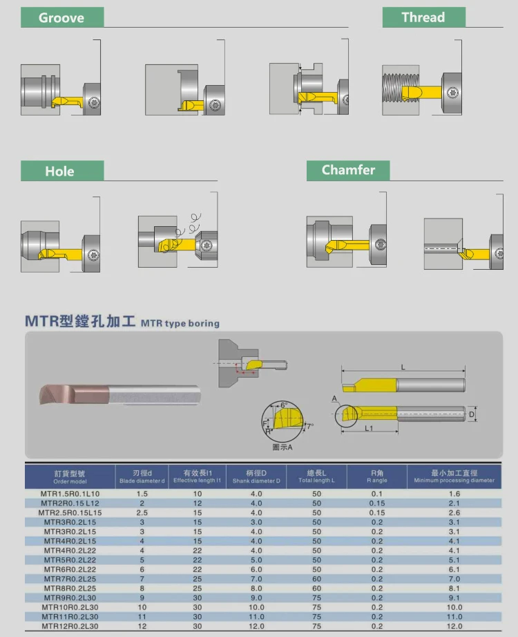 -MTR-.jpg