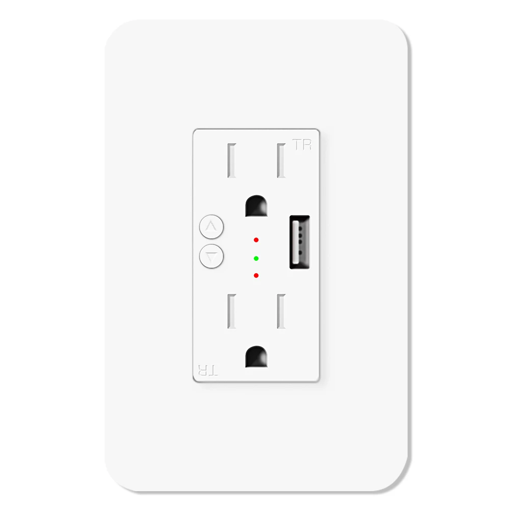 Tuya Wifi Smart Wall Socket Us Standard Usb Charge Support Overolad