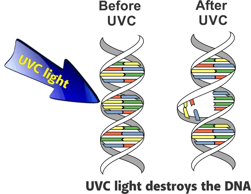 UV-C lamp system (6)