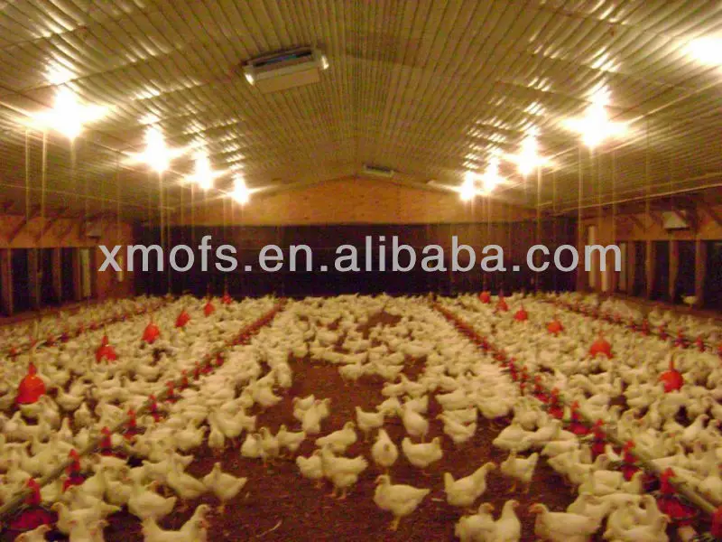 CHICKEN HOUE (2).jpg