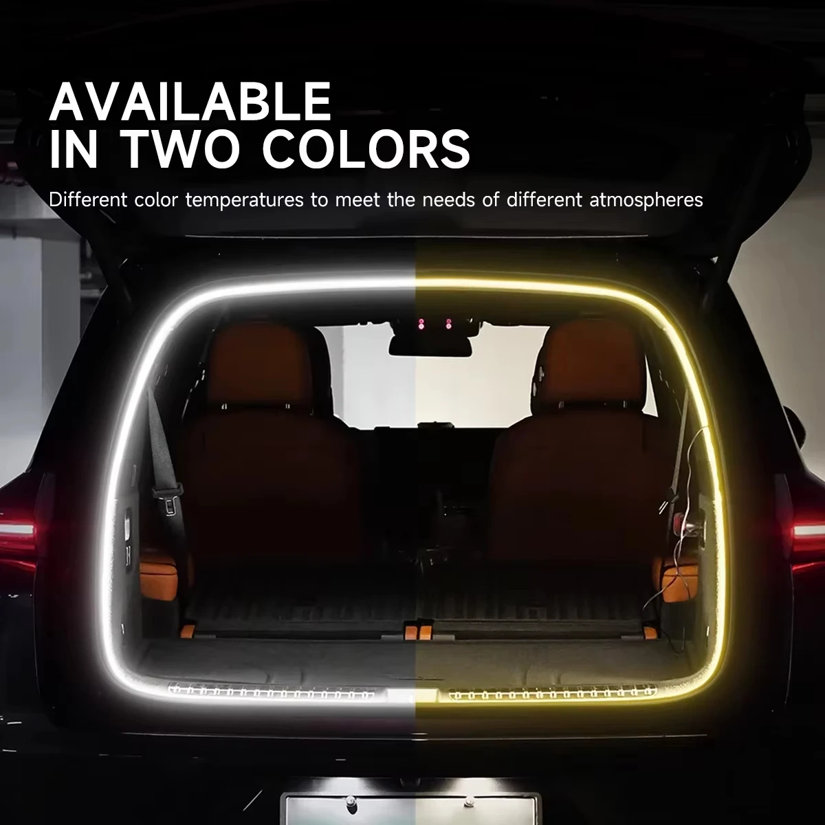 bmw ambient light