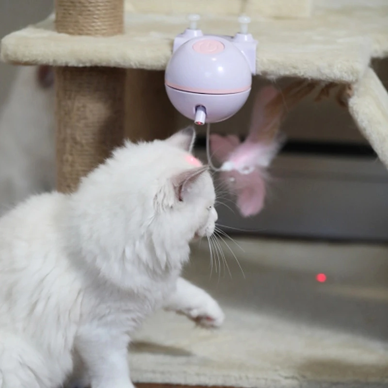 cat smart toy