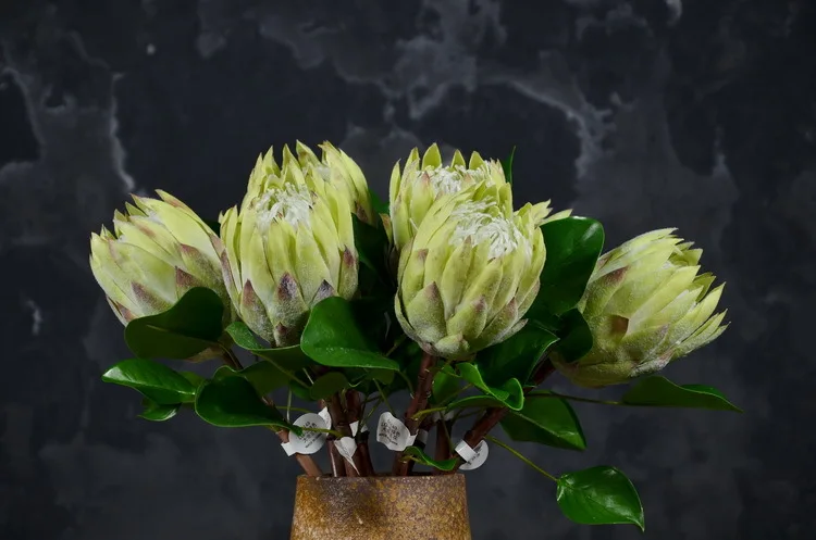 large-size king protea for home wedding decor pr