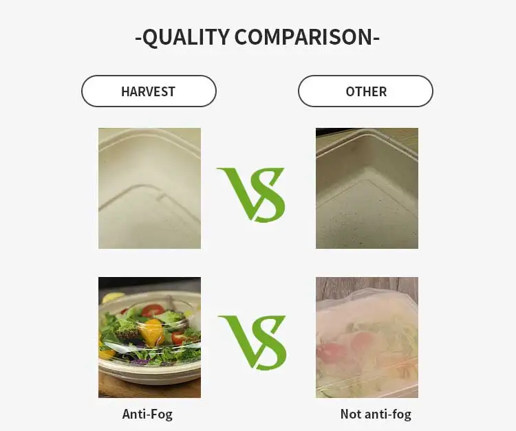 Biodegradable Unbleached Sugarcane Bagasse Bamboo Pulp Bowl - Buy ...