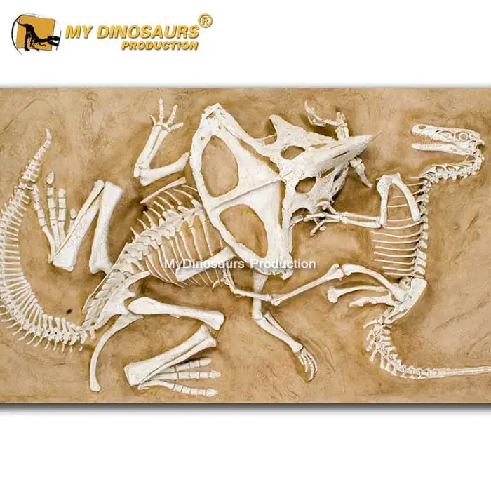 Klik stap Bloeien Mijn Dino-dinosaurus Wereld Speelgoed Educatief Dinosaurus Fossielen Graven  - Buy Dinosaurus Wereld Speelgoed,Dinosaurus Wereld Speelgoed,Dinosaurus  Wereld Speelgoed Product on Alibaba.com