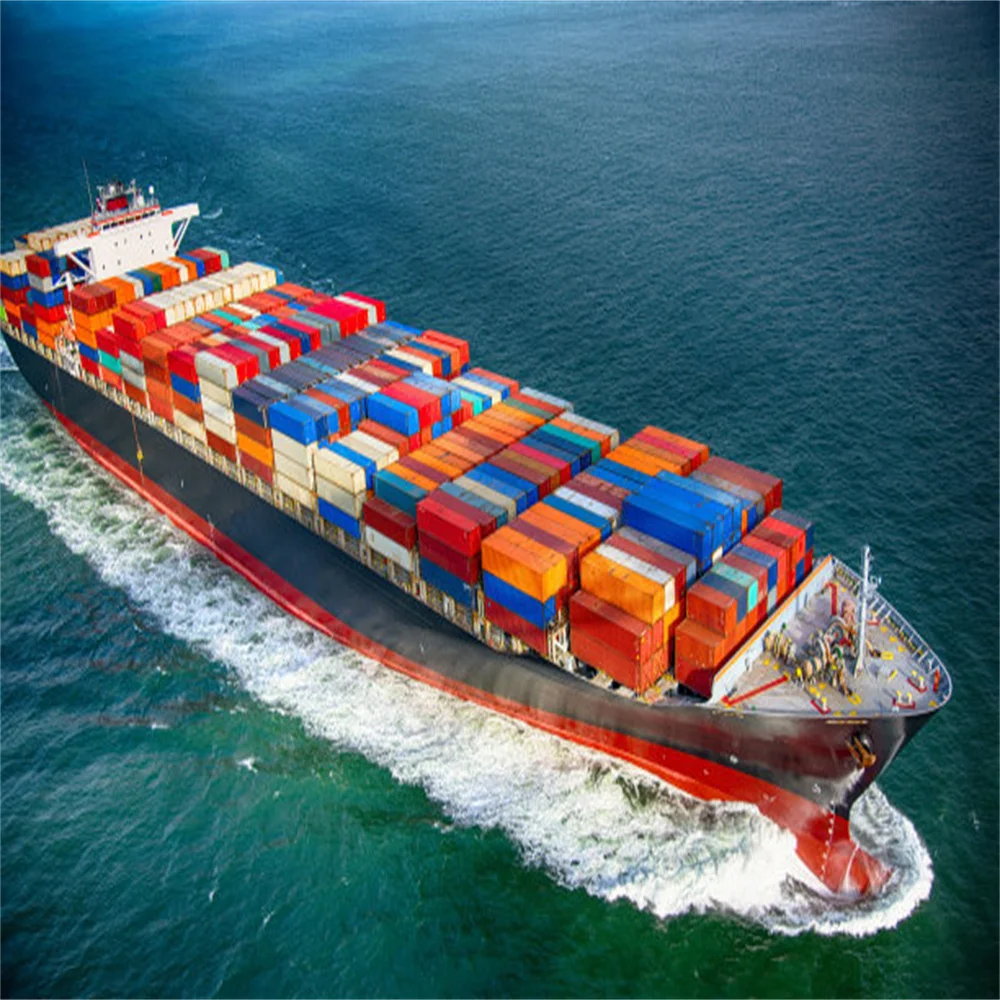Sea Freight Forwarder Agent Cargo From Shenzhen,China Door To Door