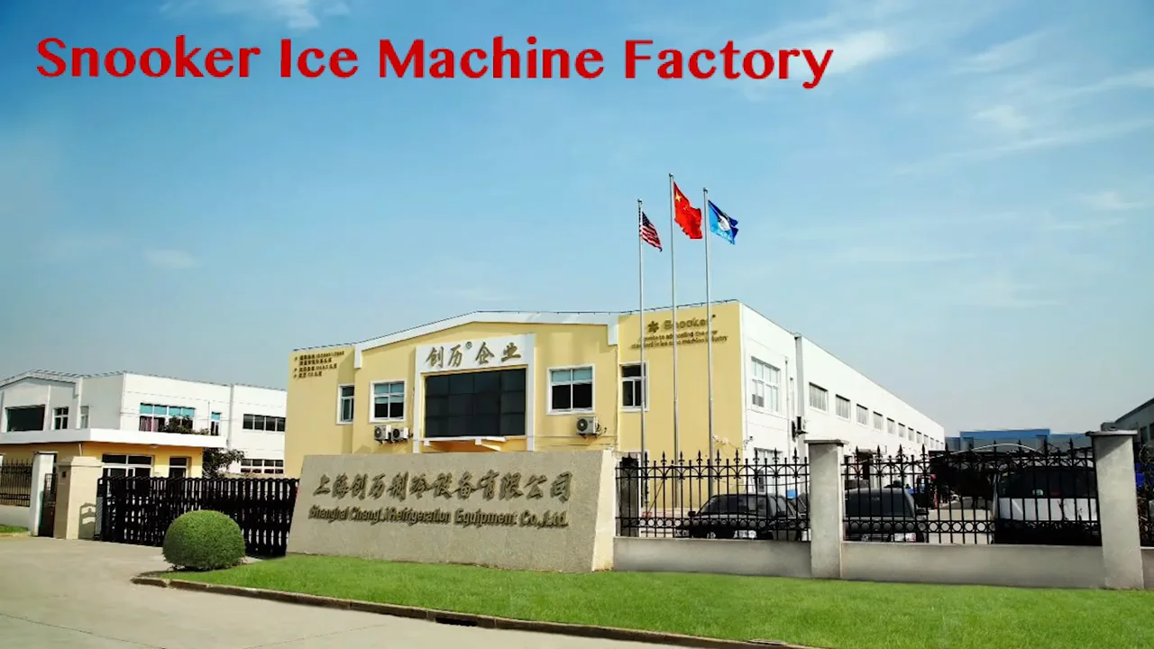 High Quality Bottled Water Ice Cube Making Machine In South Africa 55kg