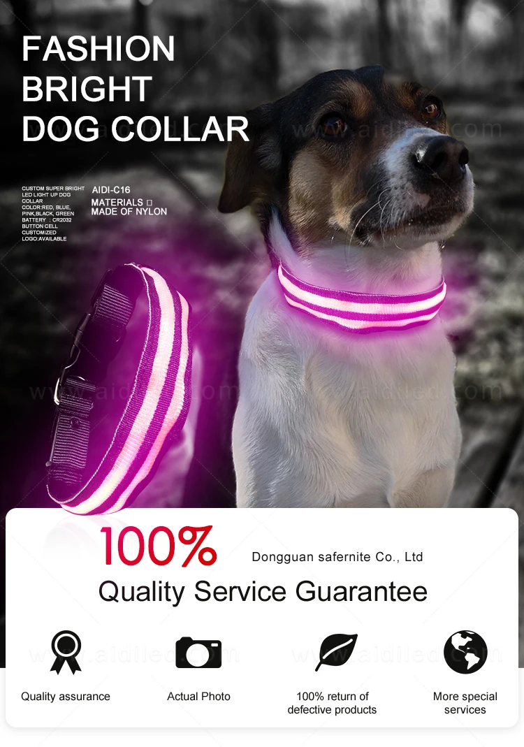 Best Super Led Dog Collar Pet Supply 2020 New Trend Pet Products Wholesale No Fears Led Flow In the Dark Collar