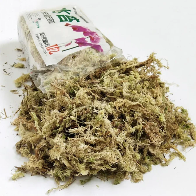 Dried Sphagnum Moss,Dried Moss For Orchid Pots,Dry,Dried Green Forest ...