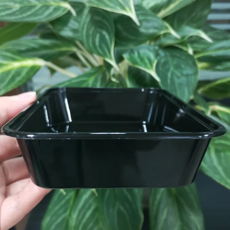 500ml disposable pp black food container for takeaway