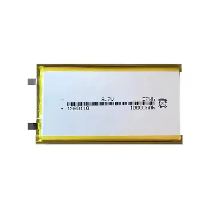 1160110 battery