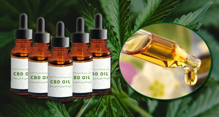 Cbd Масло Для Животных Купить Спб