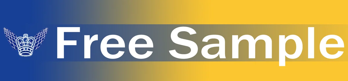 OEM/ODM 10pcs 6mm 1/4'' Shank Dia Metal Wood Grinding Engraving Polishing Tungsten Rotary Porting Tools Carbide Burrs Set