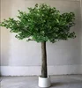 Customized High Quality Fiberglass Trunk Artificial Ginkgo Tree For Restaurant