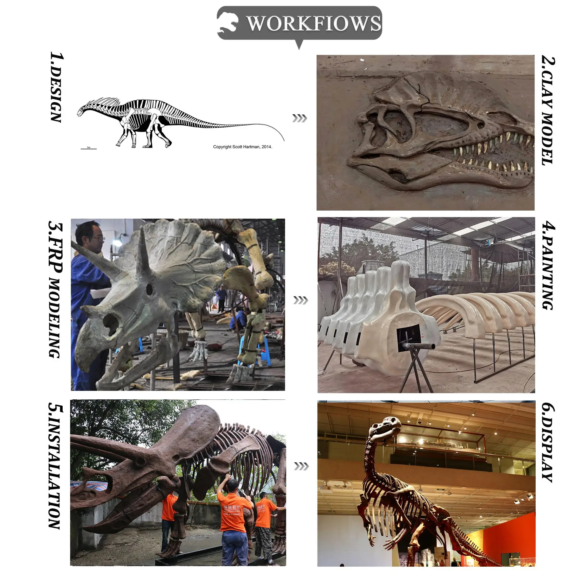 Real Dinosaur Skeleton Tyrannosaurus Skeleton Fossil For Sale Buy