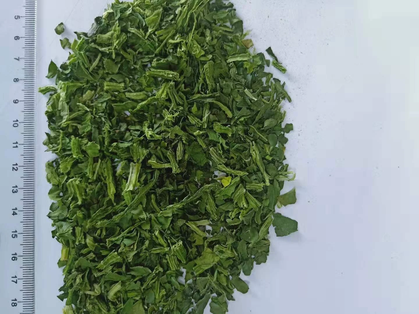 spinach (3).jpg