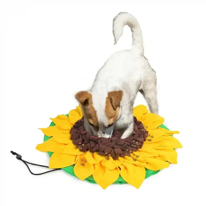 Cross-Border Stock Anti-Choking Training Mat for Dogs Soochiness-Relief Foraging Mat Hidden Food Smelling Feature Made Pet Print