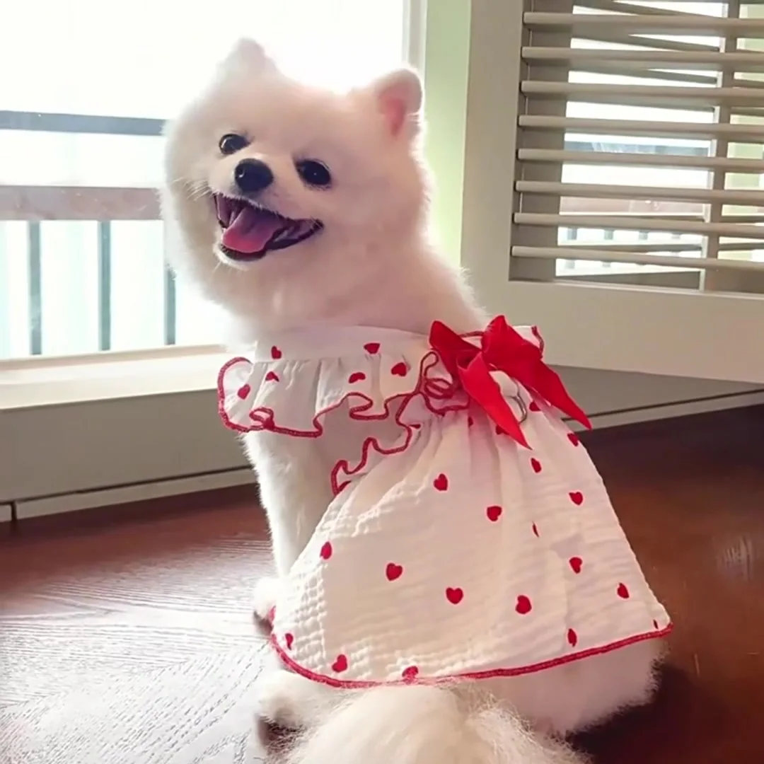 Luxury Cotton Print Cute Kids Dog & Cat Coat Dress Eco-friendly for Spring  Summer