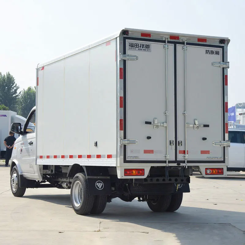 Hot Sale Chinese Mini Trucks Gasoline Vehicles Foton Xianglingv2 van Cargo 2-seaters Minitruck cargo truck supplier