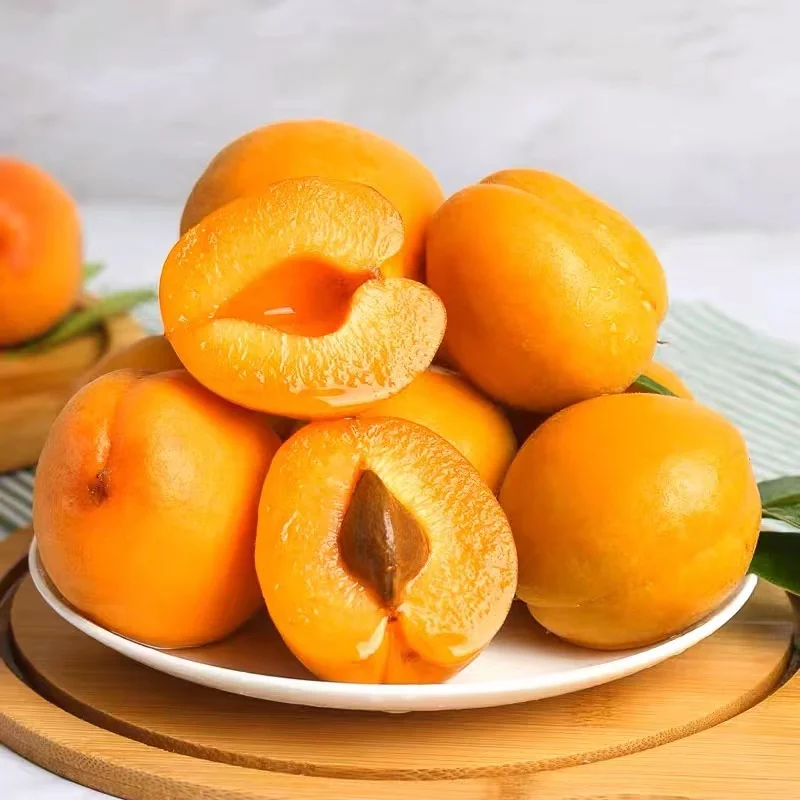 Natural 100 Yellow Sweet Fresh Apricots Buy Fresh Apricots,Period