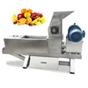 low speed fruit and vegetable processing device/fruit pulp processing equipment/fruit processing line