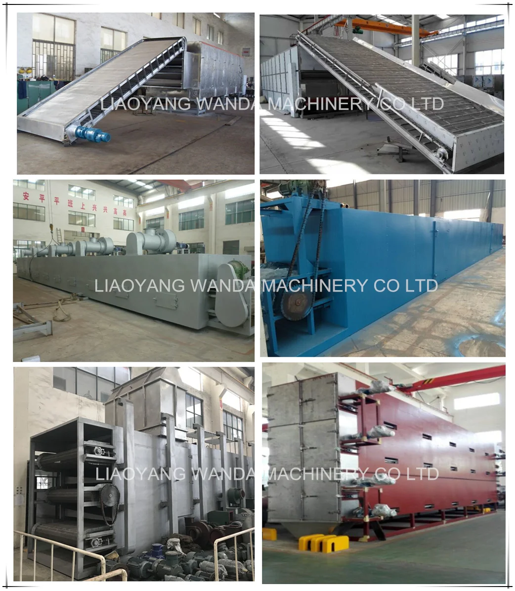 food belt dryer