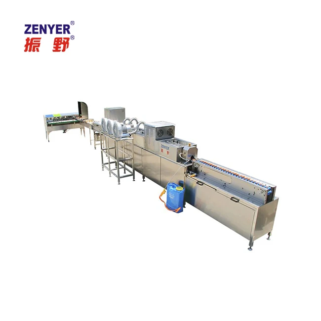 
superstar egg processing equipment with grader 