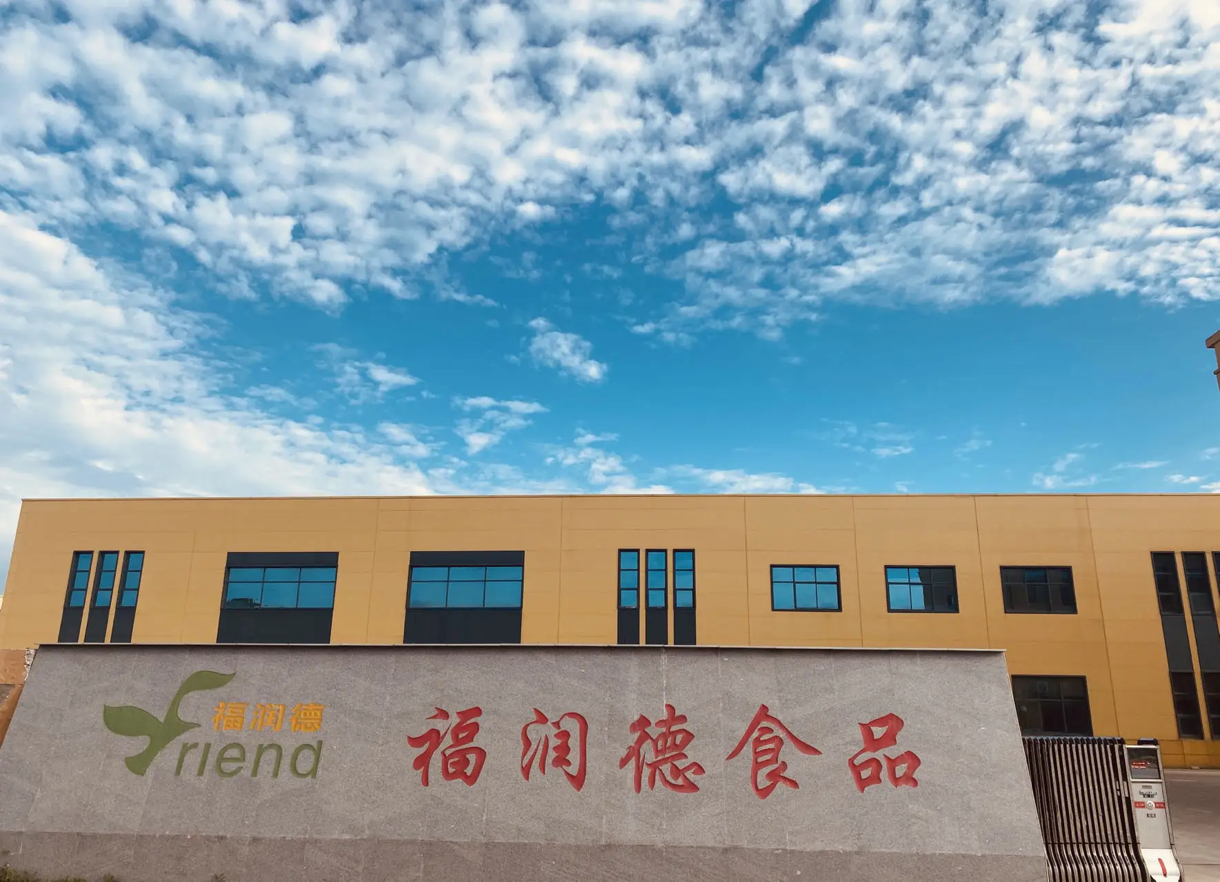 Iso Certified With Haccp Certificates Carrageenan Pectin Halal Gummy