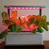 Good look custom led grow light