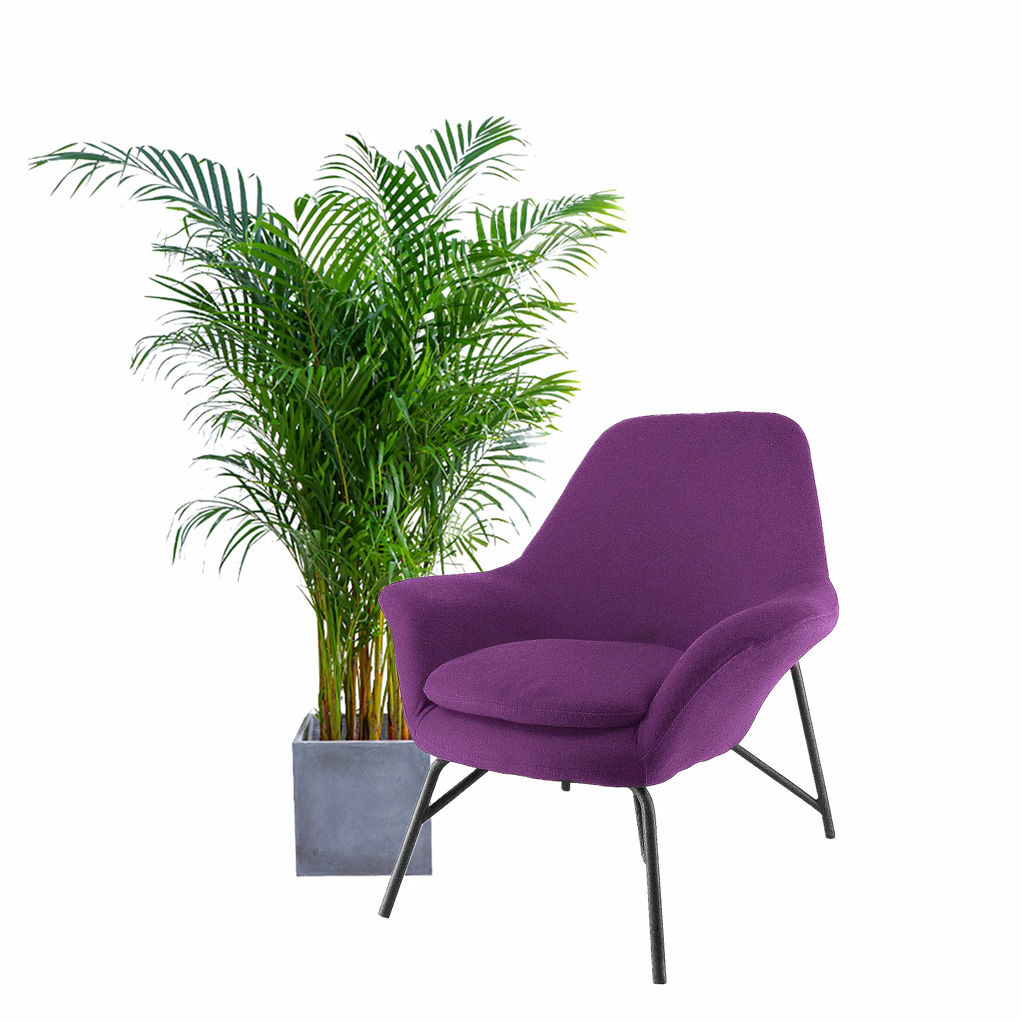 Venta al por mayor sillones morados-Compre online los mejores sillones