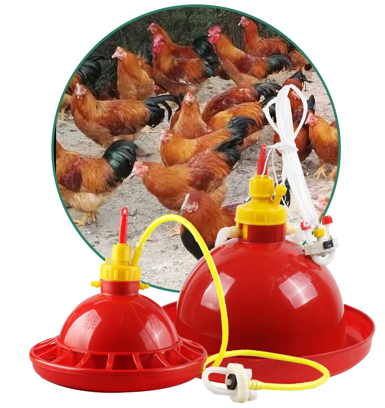 Poultry watering system chick bell drinker easy fill chicken watering drinker automatic water feeder for chickens