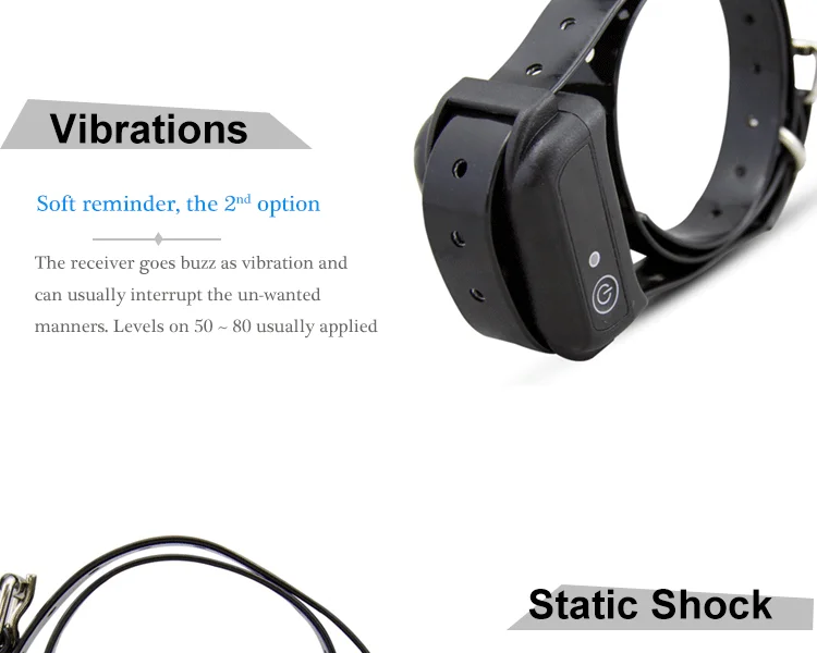 Electric Dog Collar (4).png