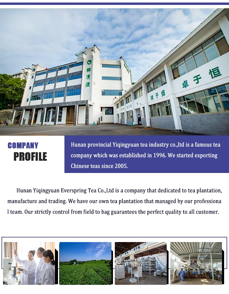 company profile.png