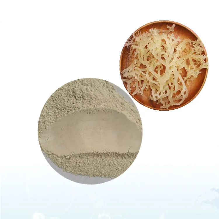 IrishMoss1_.jpg