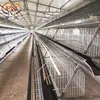 chicken egg lay cage and 3 tier 120 capac chicken layer cage for poultri in dubai